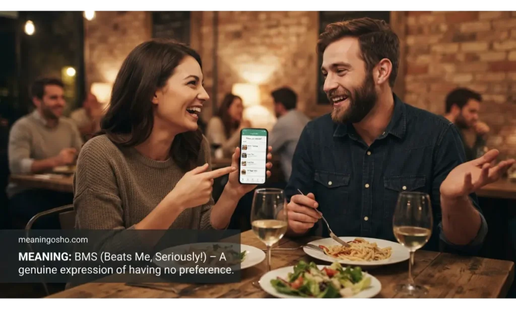 BMS Meaning in Different Contexts