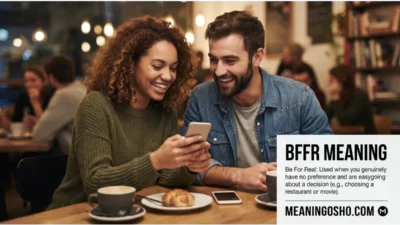 BFFR Meaning in Text