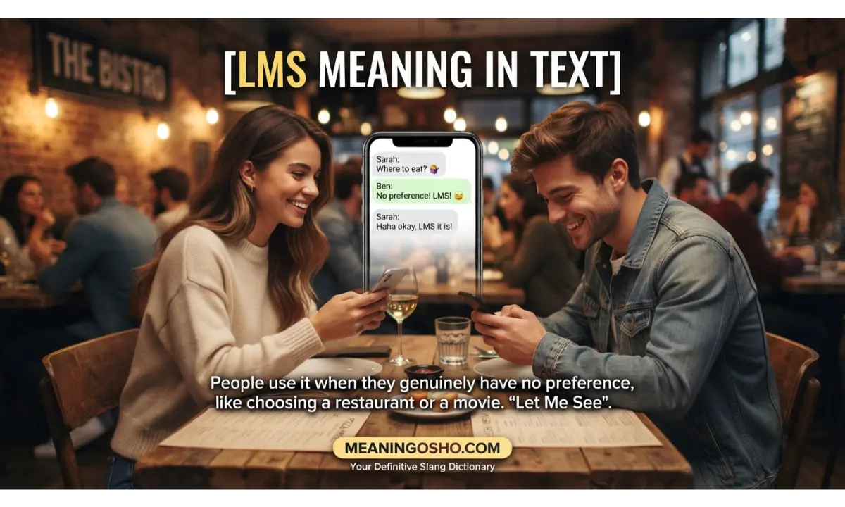 LMS Meaning in Text