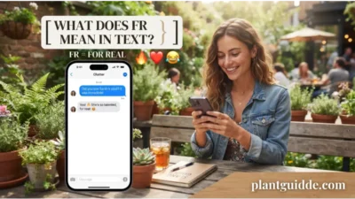 What Does FR Mean in Text?